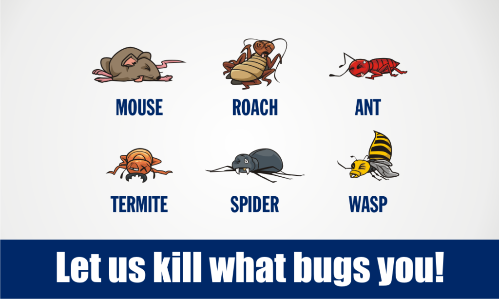 Exterminator, Pest Control, and Prevention