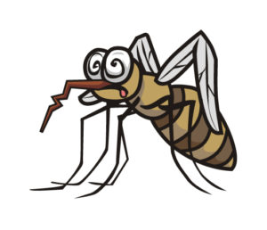 Mosquito pest control services