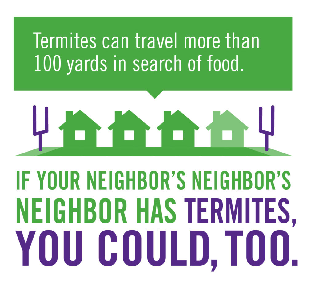 Termite Treatment